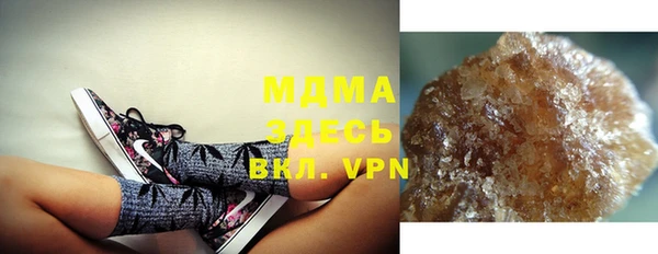 индика Белоозёрский