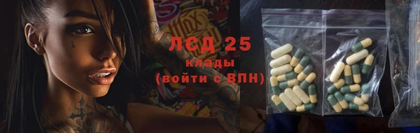 гидропоника Горняк