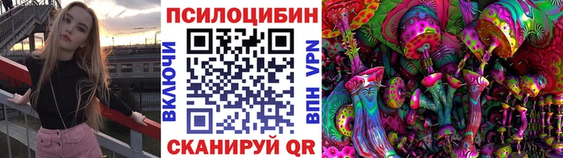 Псилоцибиновые грибы Psilocybe  Верхний Тагил 