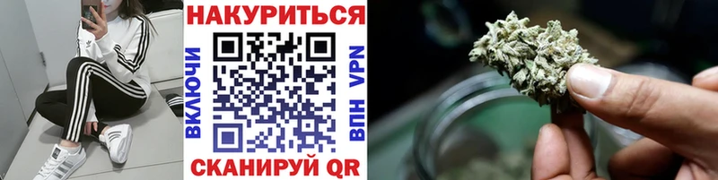 Каннабис сатива  Верхний Тагил 